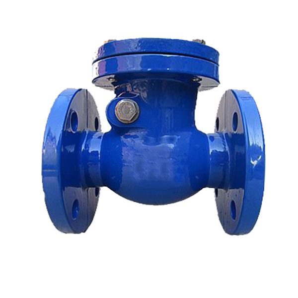 JIS F7372-JIS 5K Cast Iron Swing Check Valves